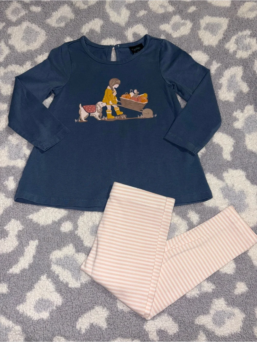 Cynthia Rowley Blue Graphic Top and Striped Fall Themed 2 Piece Set